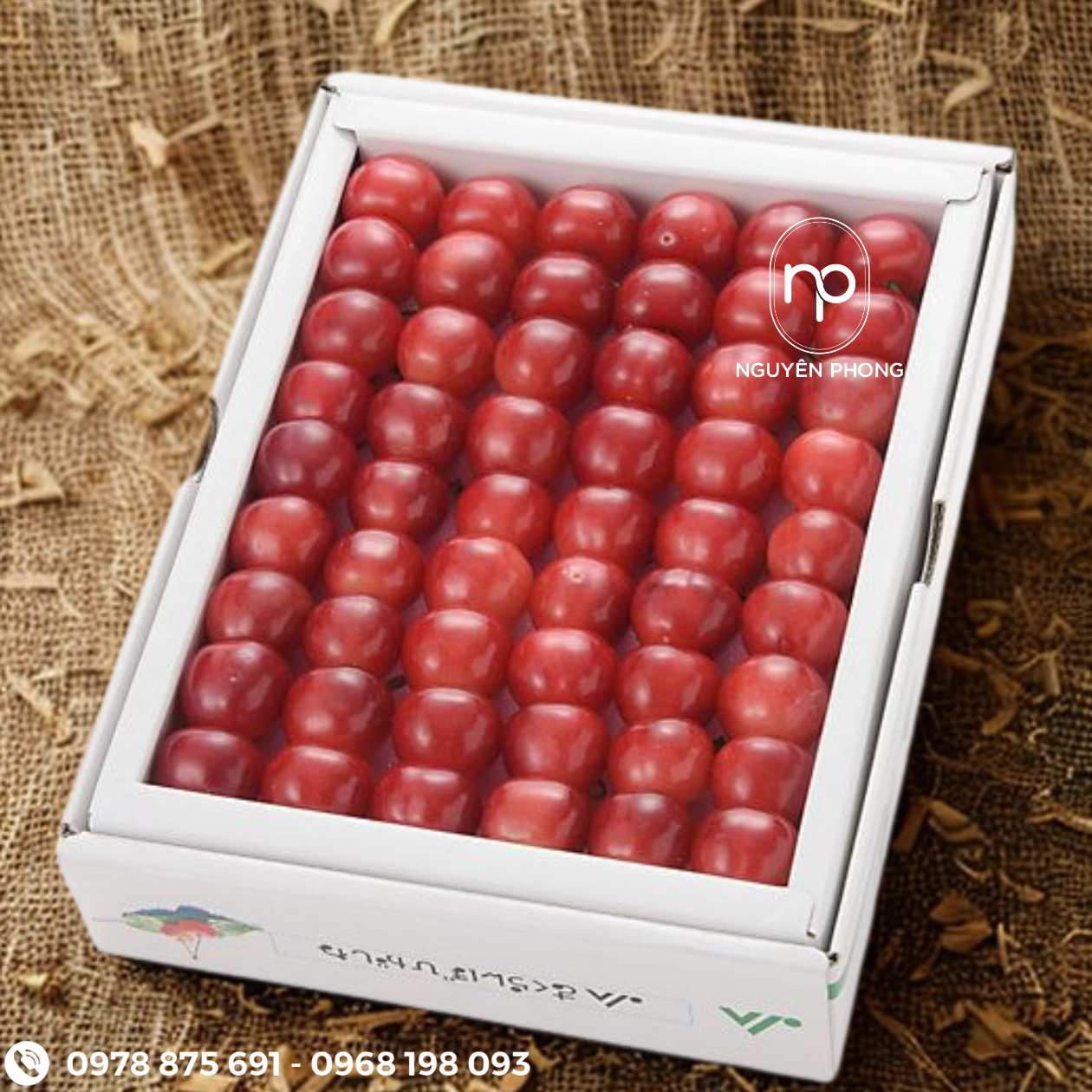 in-thùng-carton-đựng-cà-chua